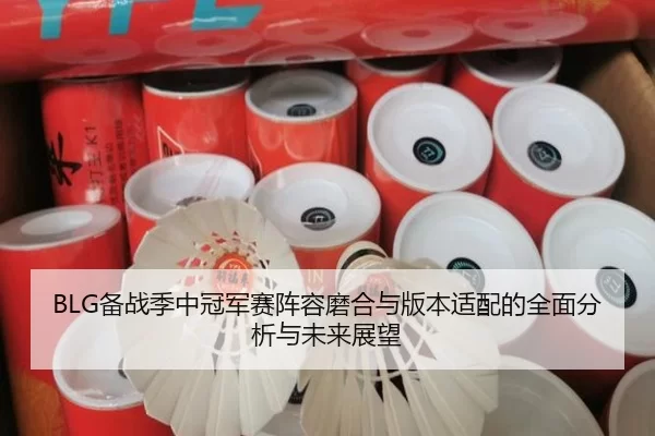 BLG备战季中冠军赛阵容磨合与版本适配的全面分析与未来展望