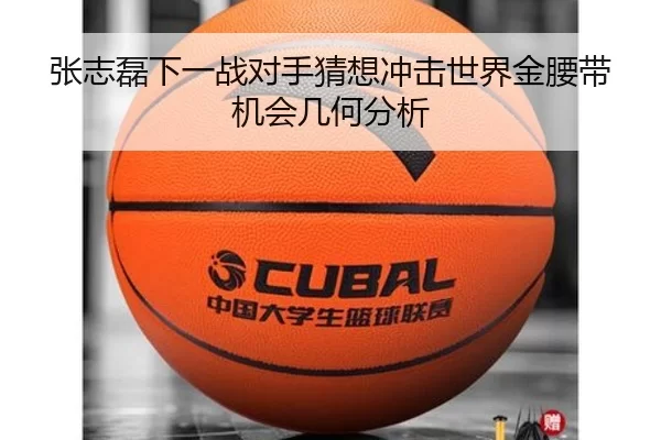 张志磊下一战对手猜想冲击世界金腰带机会几何分析